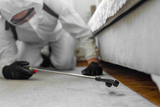 Professional Bed Bug Control technician working in Ellisburg, NJ