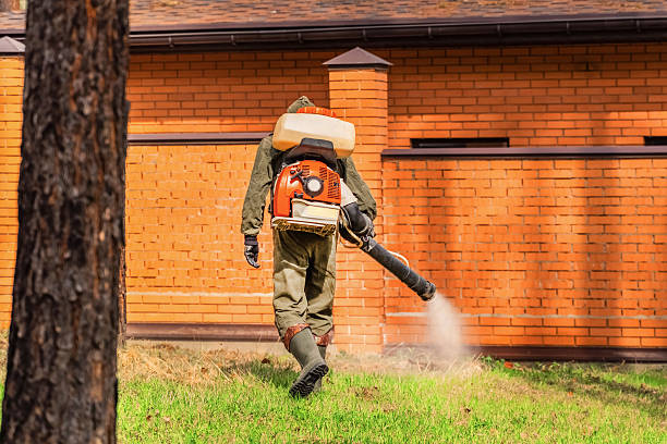 Trusted Termite Control service in Ellisburg, NJ - Nex Pest Control